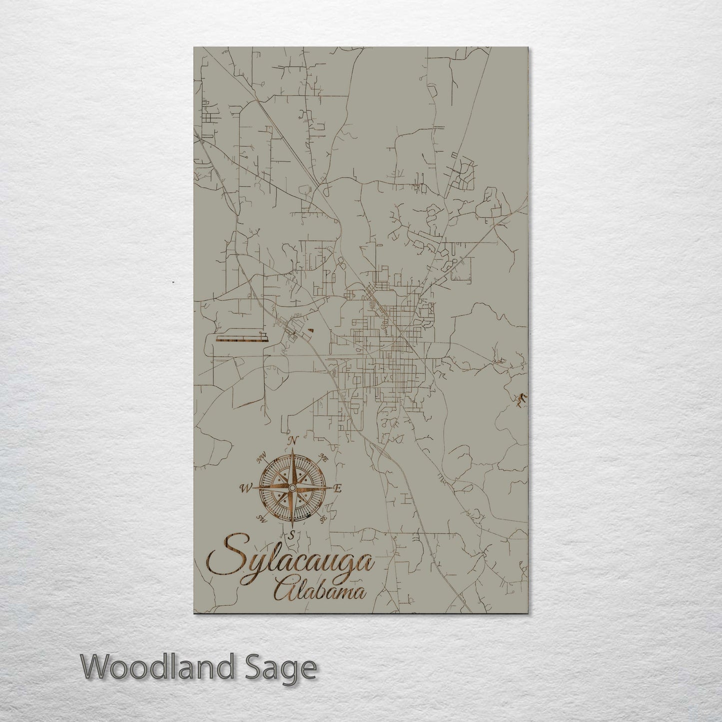 Sylacauga, Alabama Street Map