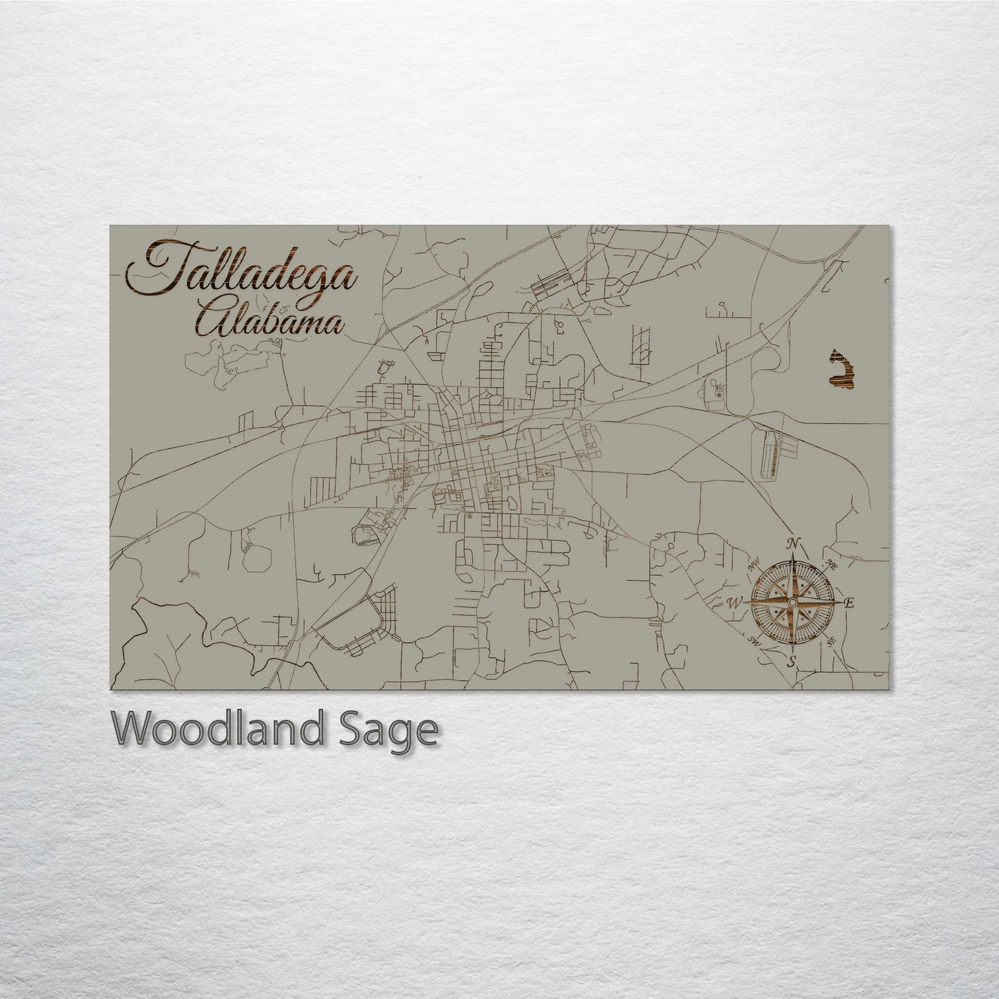 Talladega, Alabama Street Map