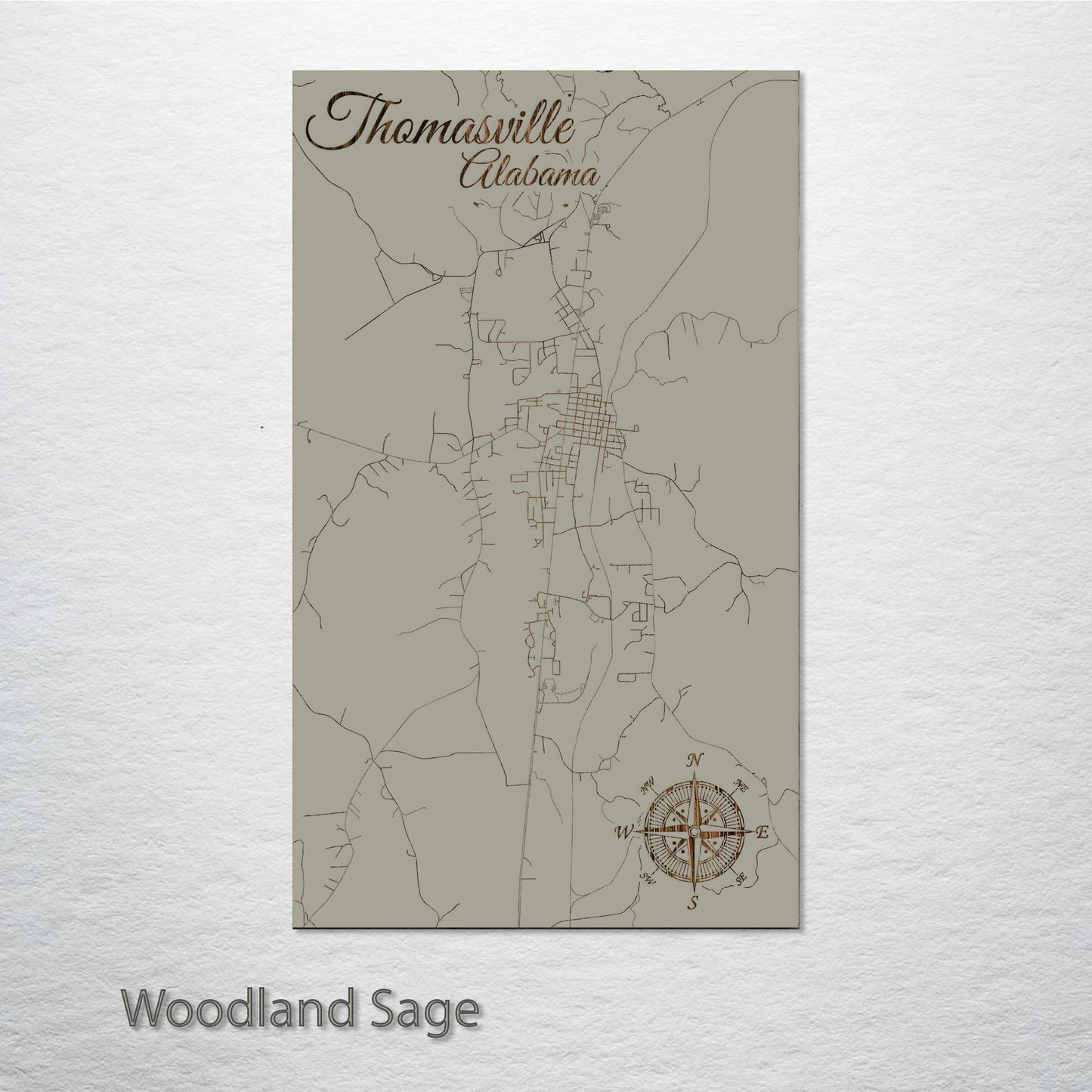 Thomasville, Alabama Street Map
