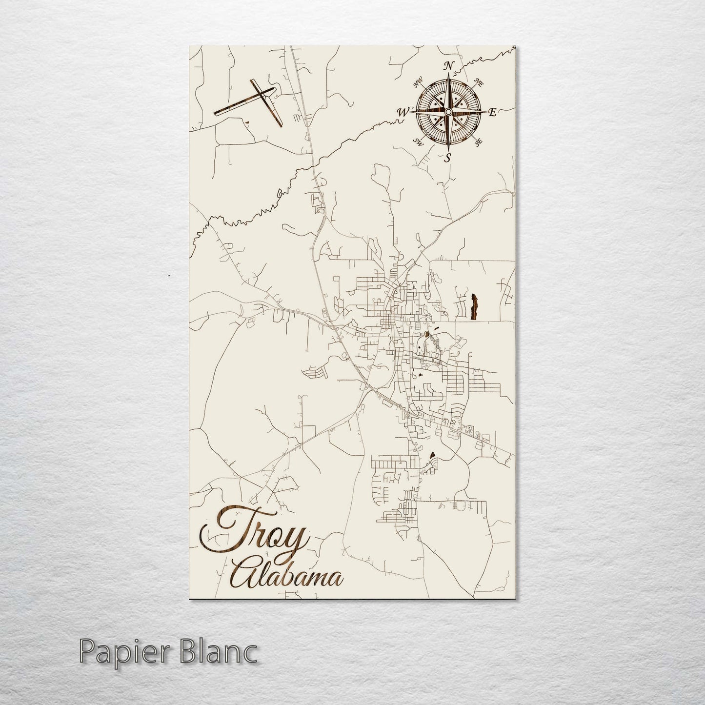 Troy, Alabama Street Map