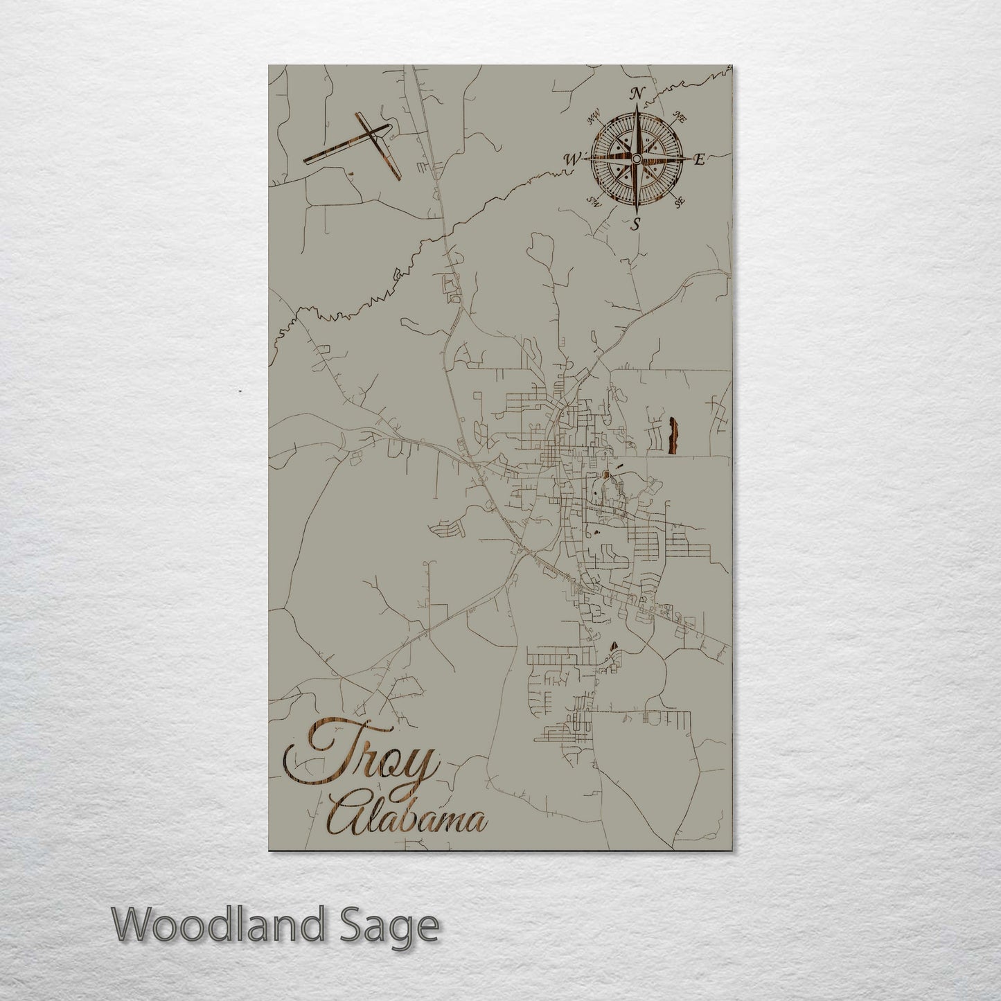 Troy, Alabama Street Map