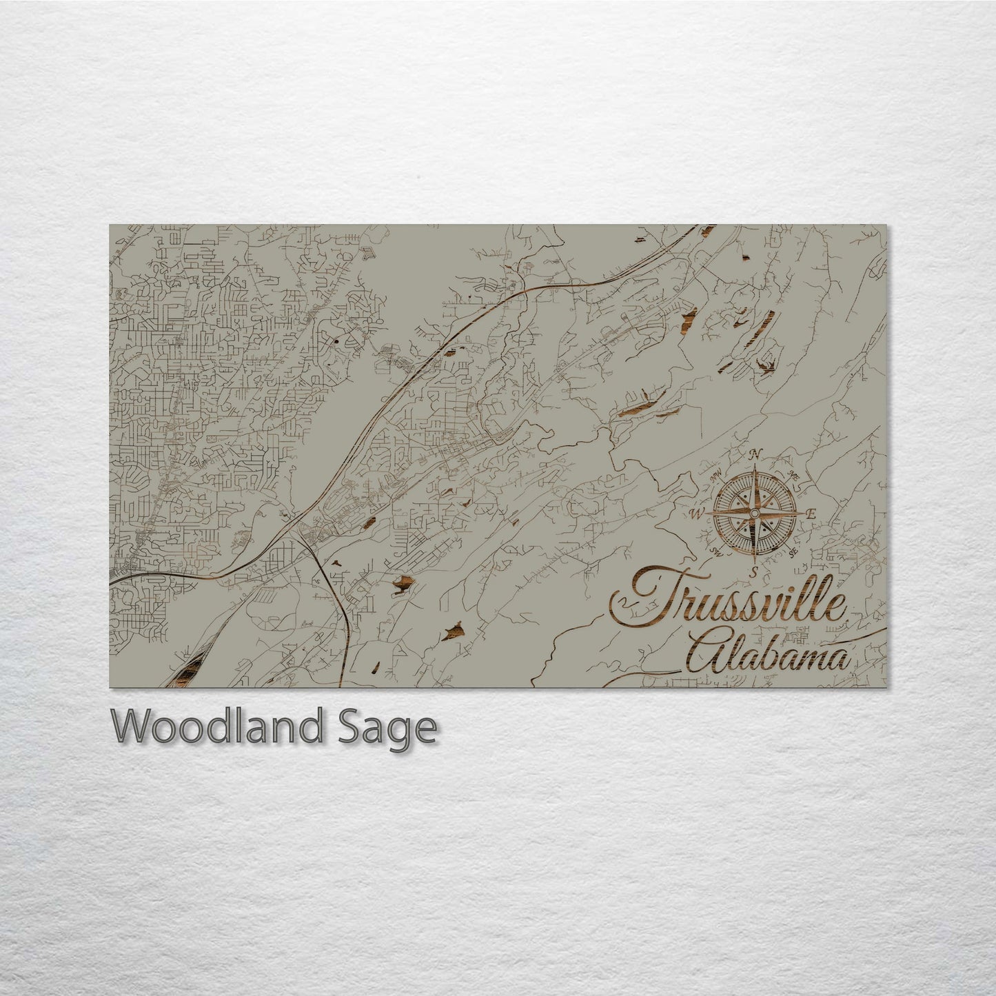 Trussville, Alabama Street Map