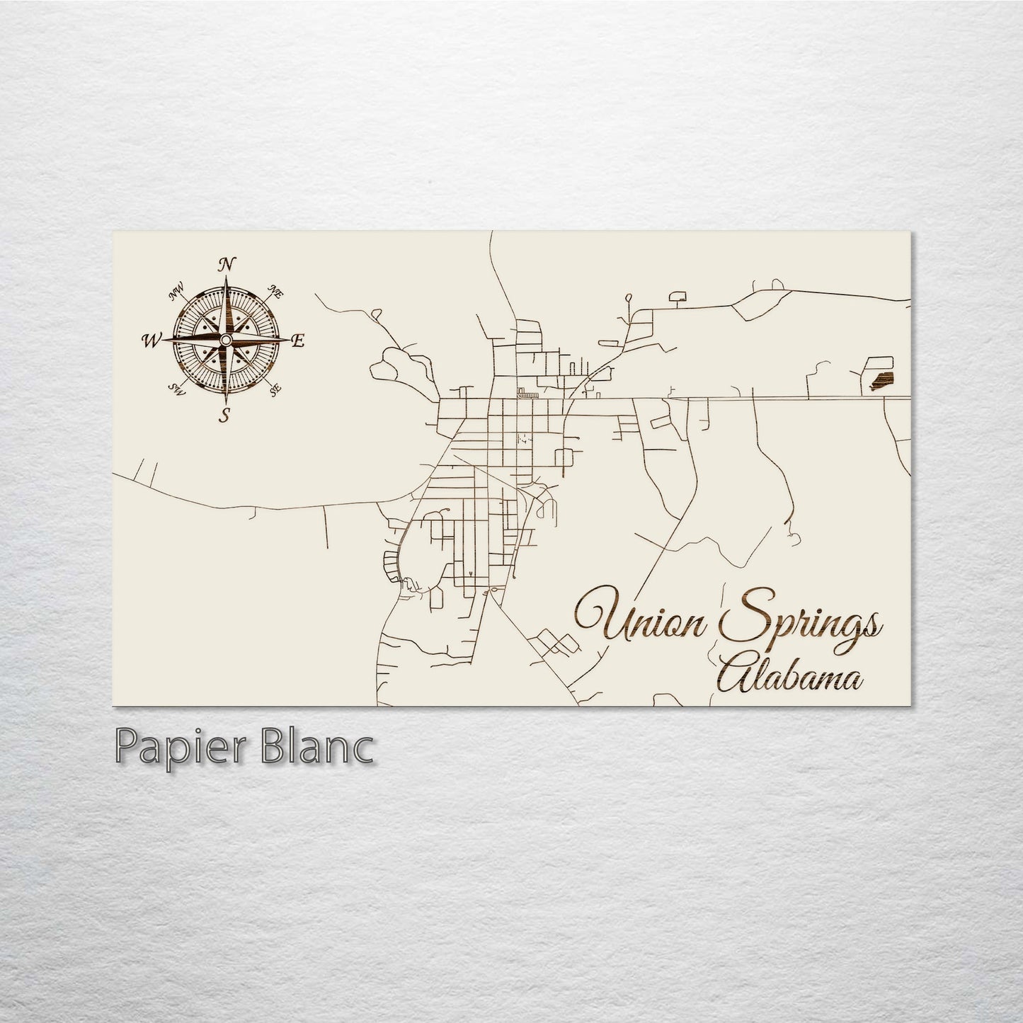 Union Springs, Alabama Street Map
