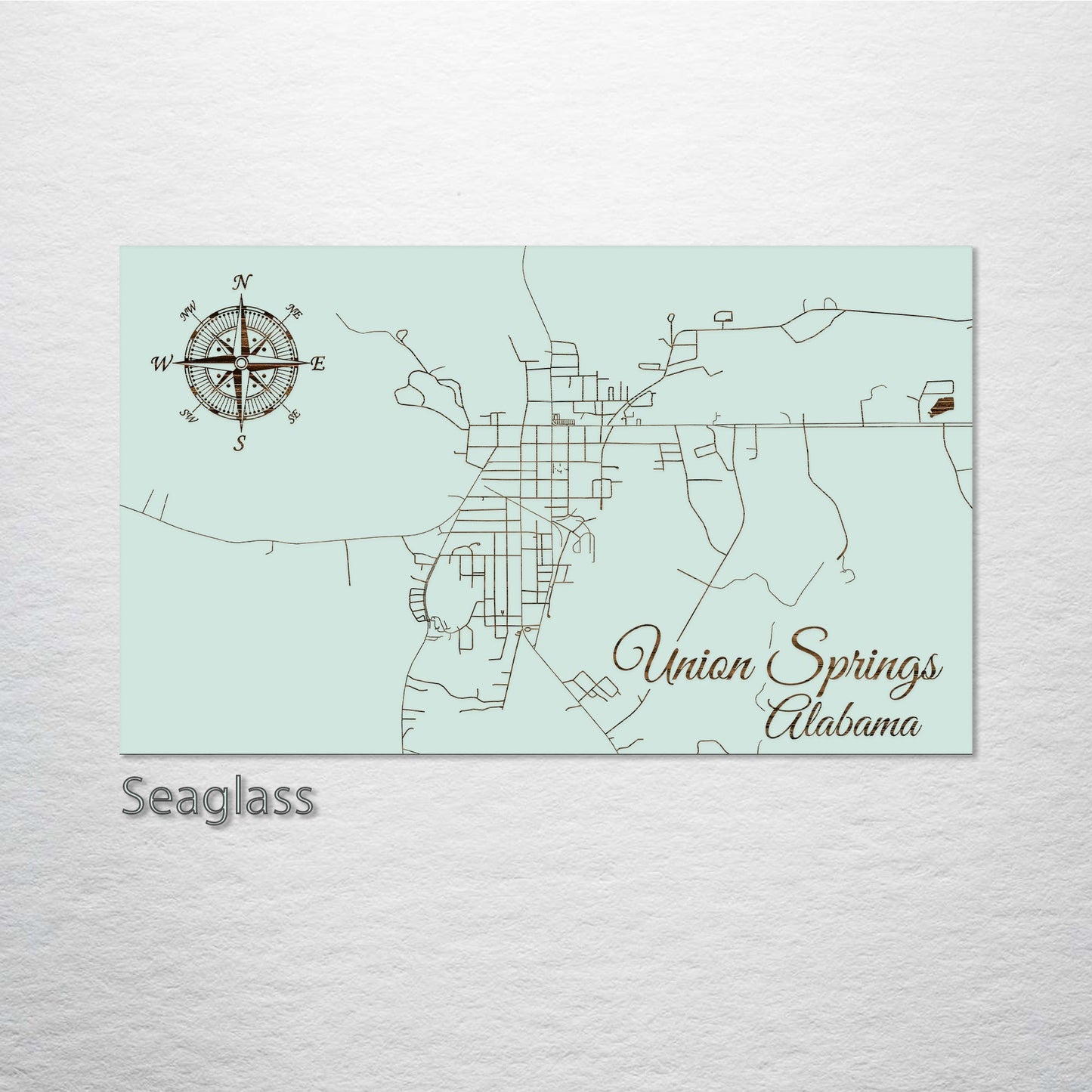Union Springs, Alabama Street Map