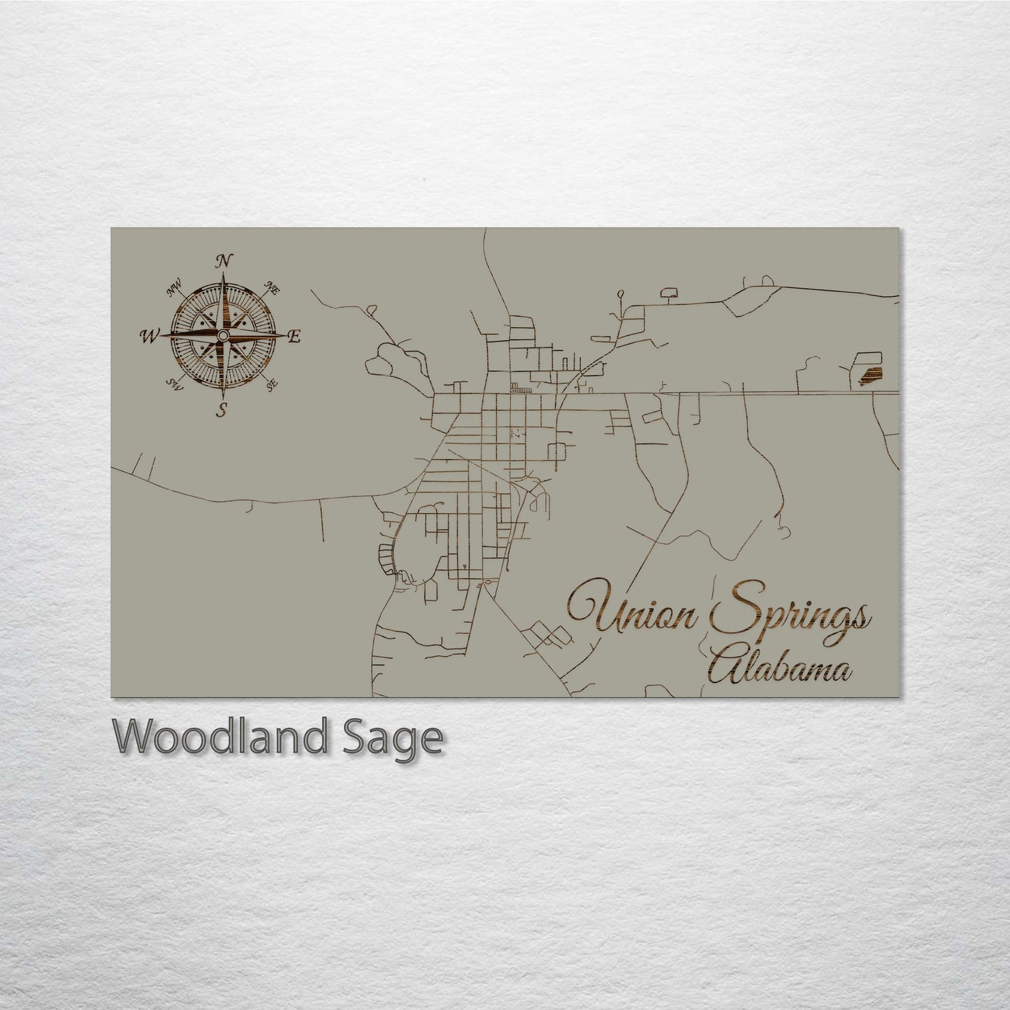 Union Springs, Alabama Street Map