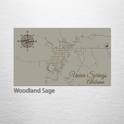 Union Springs, Alabama Street Map