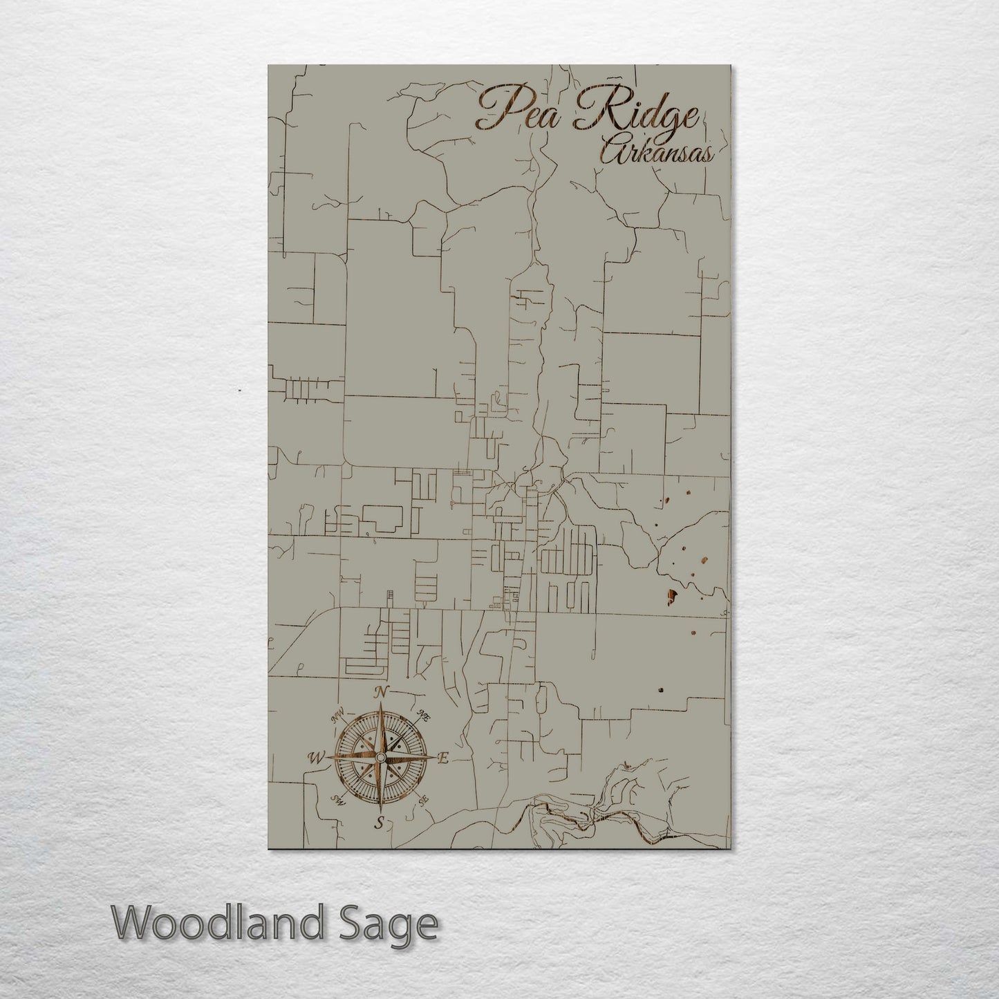 Pea Ridge, Arkansas Street Map