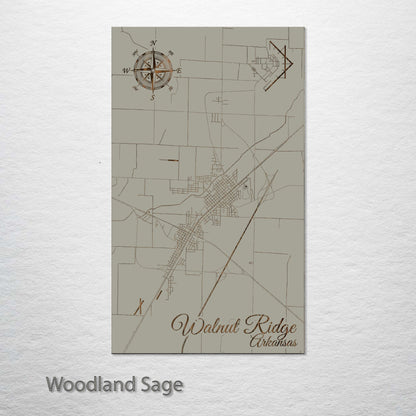 Walnut Ridge, Arkansas Street Map