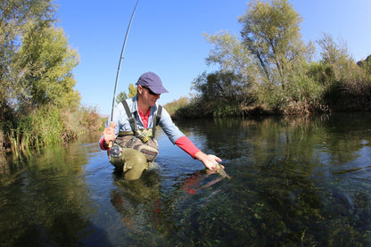 Quill Gordon Classic Dry Fly - 12 Flies Size 16