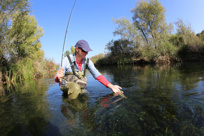 3 Pack Goddard Caddis Dry Fly - Size 14