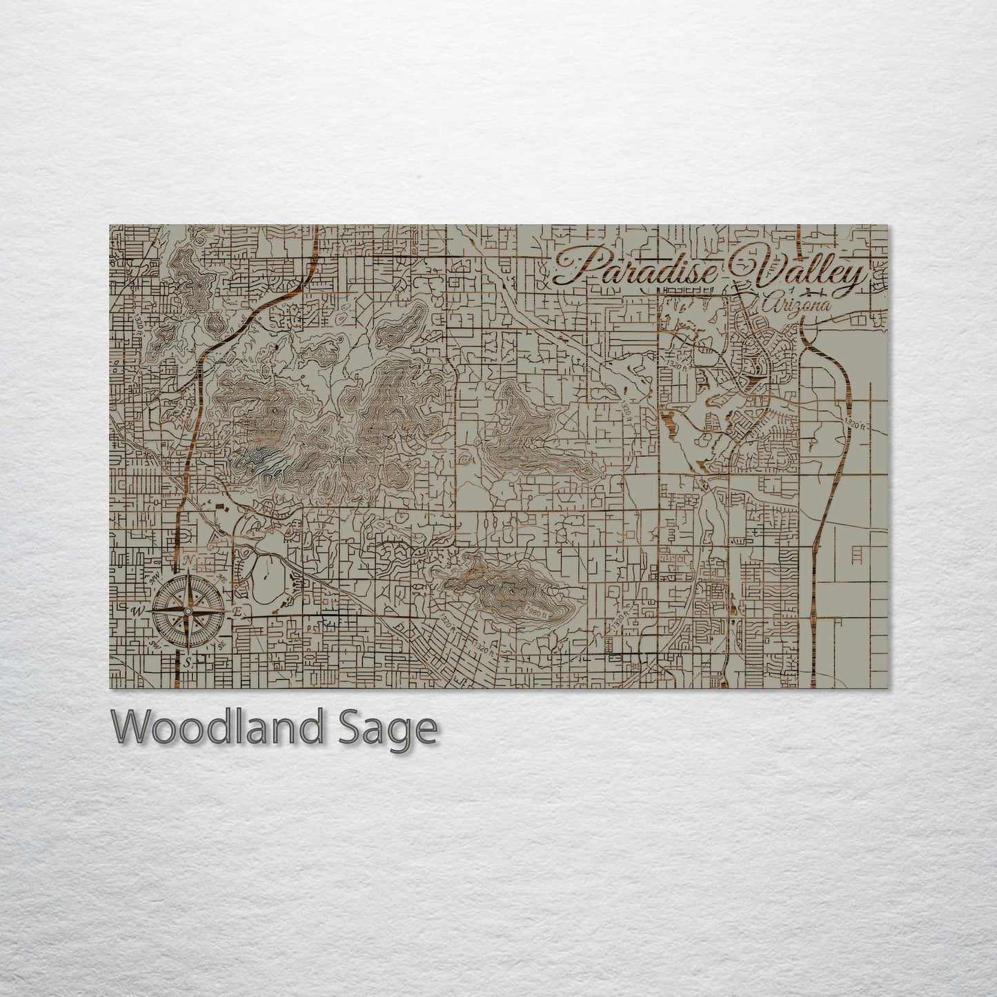 Paradise Valley, Arizona Street Map