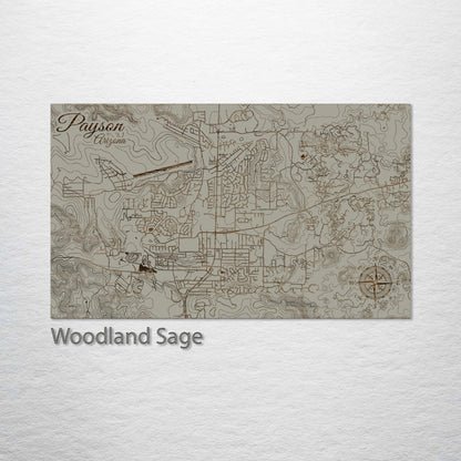 Payson, Arizona Street Map