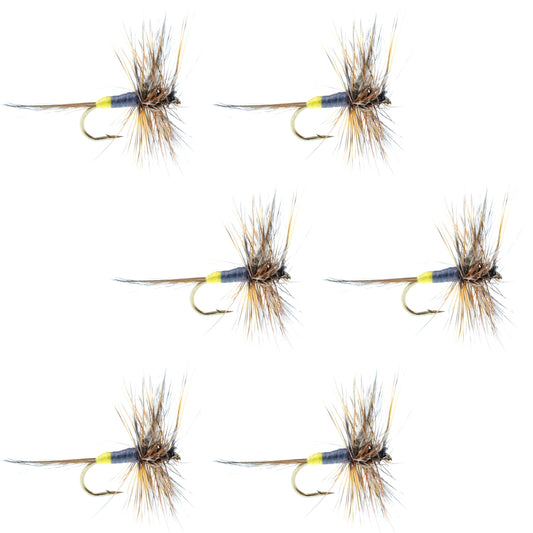 Adams Female Classic Dry Fly - 6 Flies - Hook Size 16