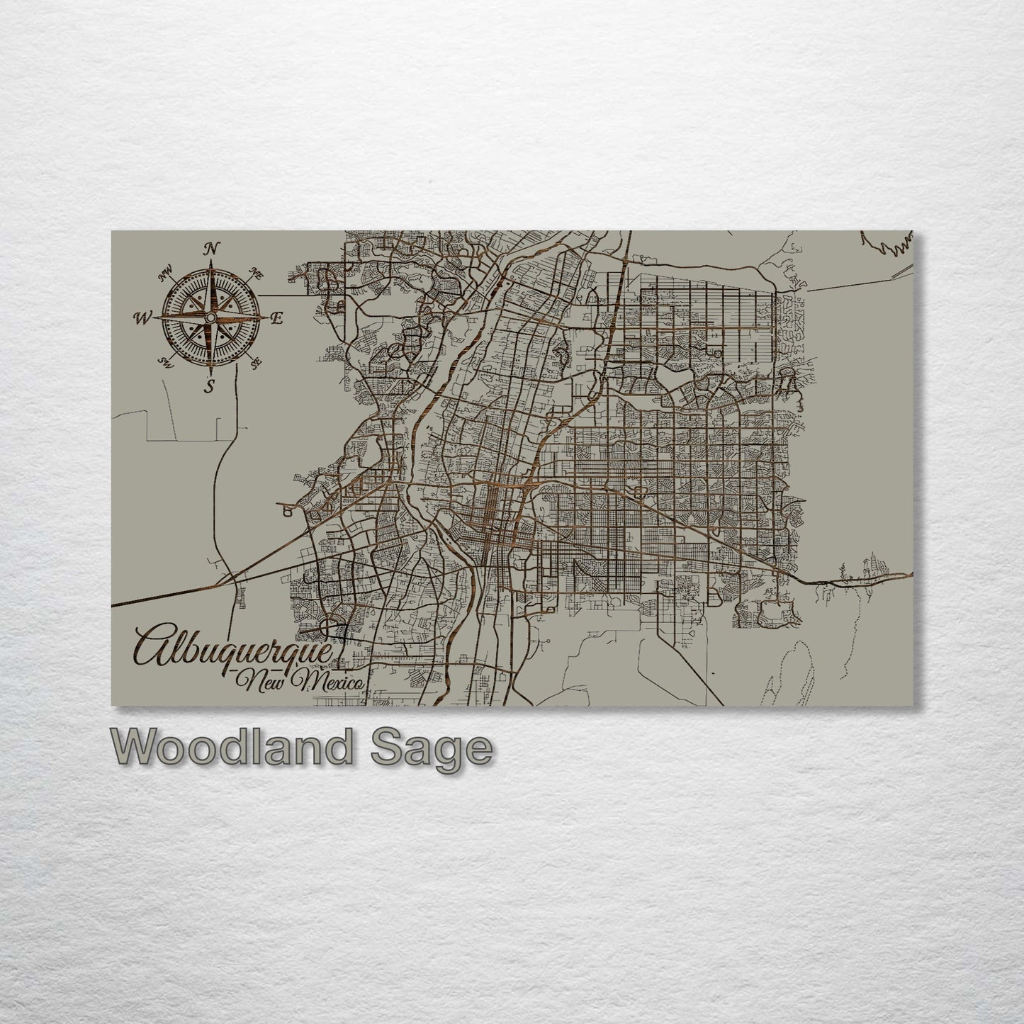 Albuquerque, New Mexico Street Map