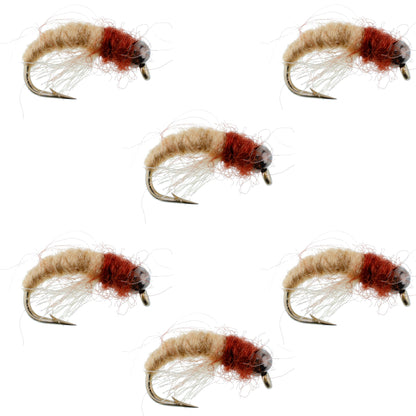 Bead Head Tan Brown Caddis Larva Nymph 6 Flies Hook Size 16