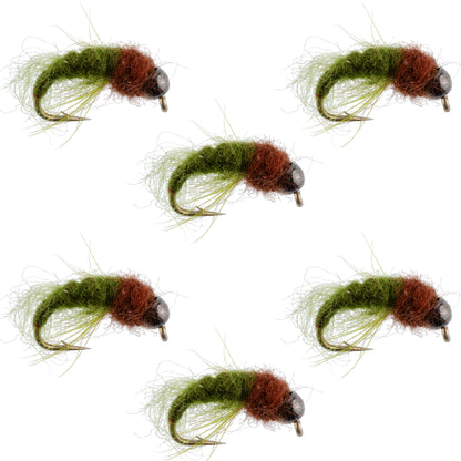 Bead Head Olive Brown Caddis Larva Nymph 6 Flies - Hook Size 14