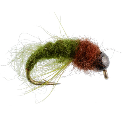3 Pack Bead Head Olive Brown Caddis Larva Nymph Hook Size 16