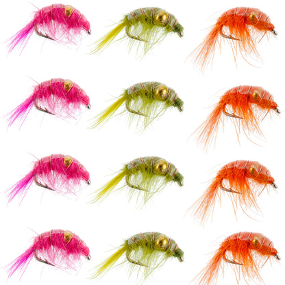 Beaded Shrimp Scud Assortment - 1 Dozen - 4 Each of 3 Patterns Size 16 - Tailwater Lake Fly