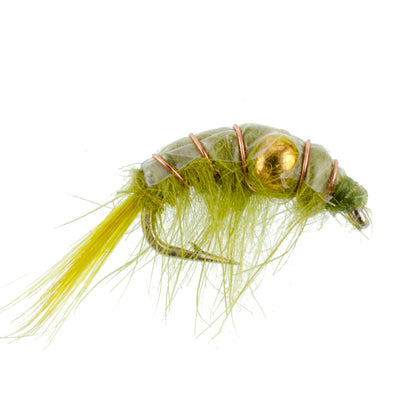 3 Pack Olive Beaded Shrimp Scud Pattern - Size 16 - Tailwater Lake Fly Fishing Nymph