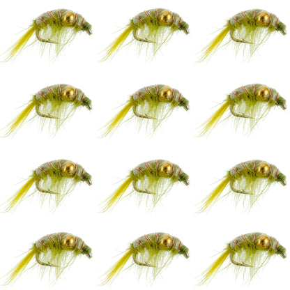 Olive Beaded Shrimp Scud Pattern - 1 Dozen Size 16 - Tailwater Lake Fly Fishing Nymph