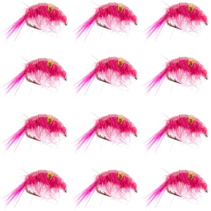 Pink Beaded Shrimp Scud Pattern - 1 Dozen Size 16 - Tailwater Lake Fly Fishing Nymph
