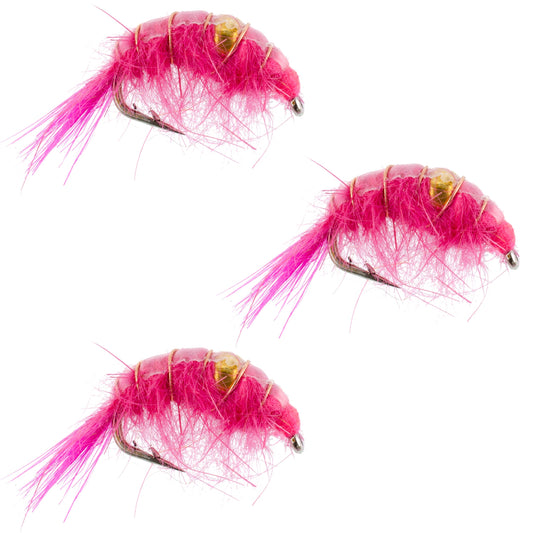 3 Pack Pink Beaded Shrimp Scud Pattern - Size 16 - Tailwater Lake Fly Fishing Nymph