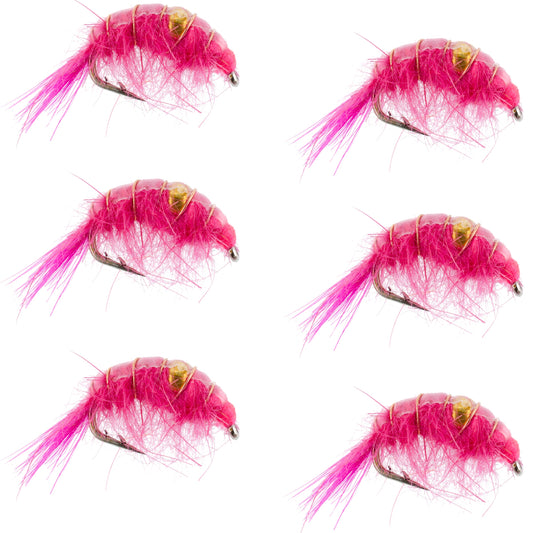 Pink Beaded Shrimp Scud Pattern - 6 Flies - Size 16 - Tailwater Lake Fly Fishing Nymph