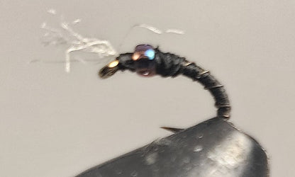 Barbed Wire™ - Midge