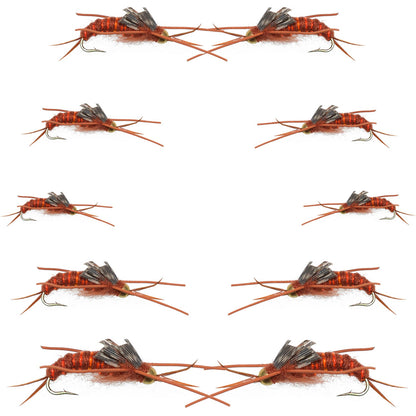 Basics Collection - Kaufmann's Brown Stonefly Nymph Assortment 10 Bead Head Rubber Legs Wet Flies - Hook Sizes 6, 8, 10, and 12