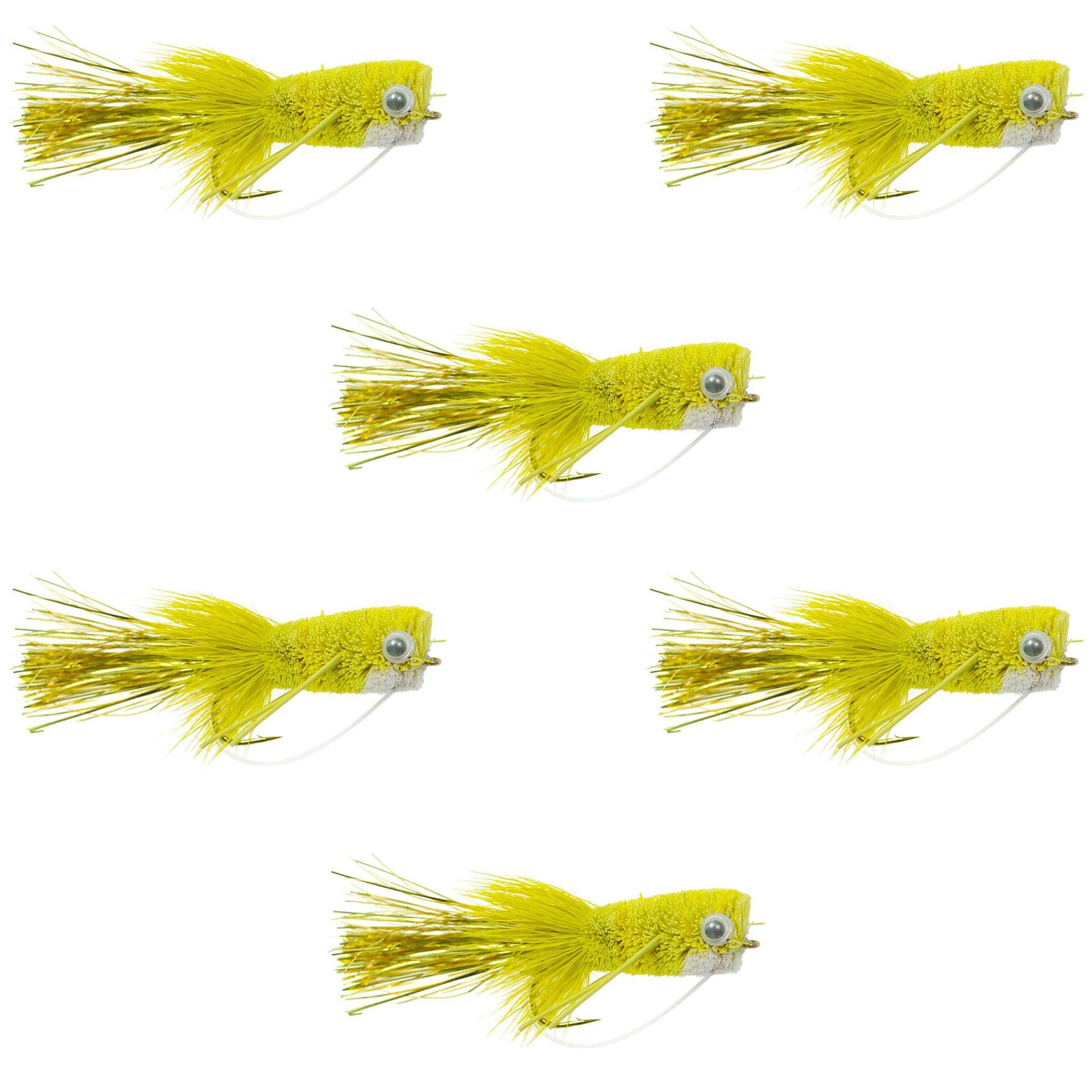 Flashtail Bass Popper 6 Flies Size 8
