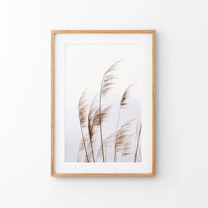 Beige Dried Grass Print. Summer Field