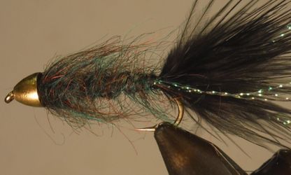 Cone Head - Bite Me Buggers