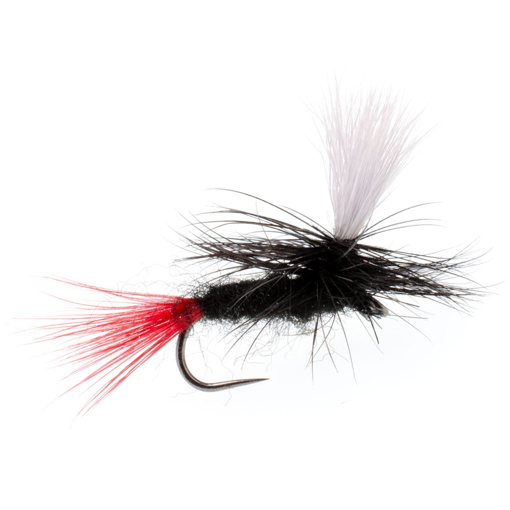 3 Pack Barbless Parachute Black Gnat Red Tail Dry Fly - Size 16