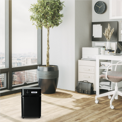 Austin Air Healthmate Jr. Air Purifier