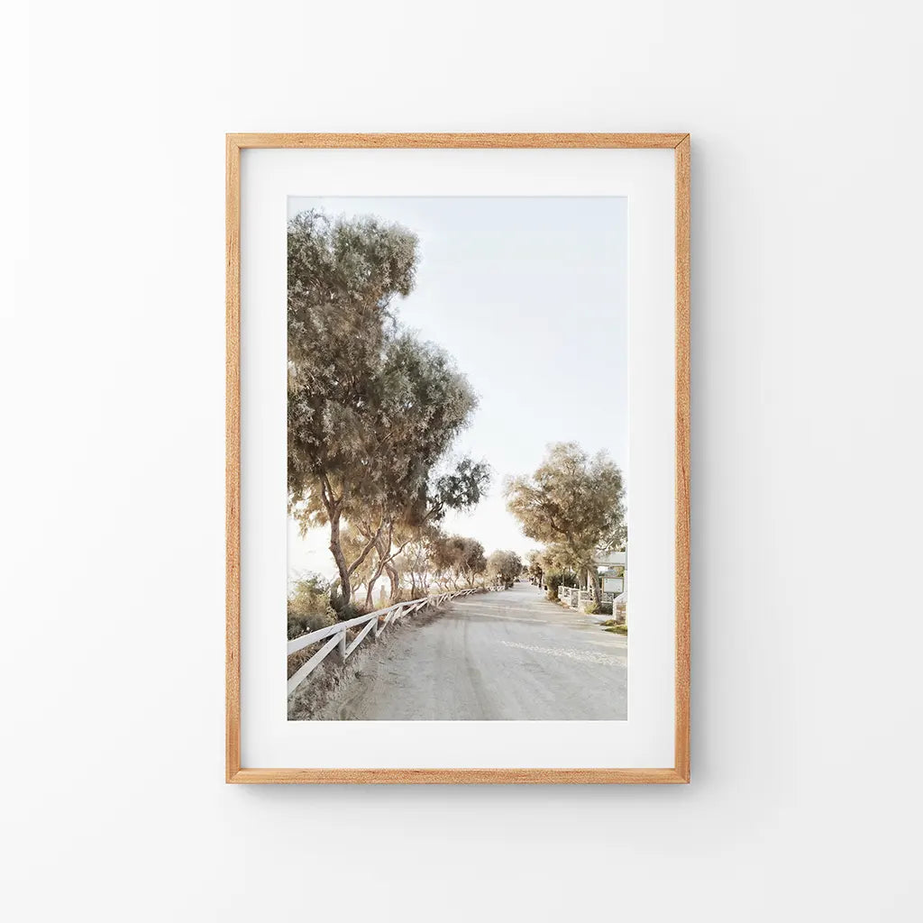 Modern Coastal Neutral Tones Photo. Trees Wall Art