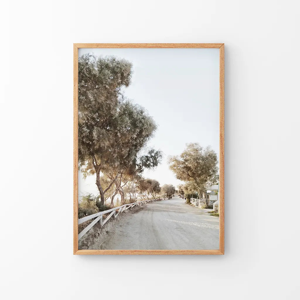Modern Coastal Neutral Tones Photo. Trees Wall Art