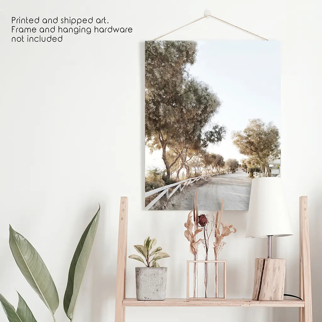 Modern Coastal Neutral Tones Photo. Trees Wall Art