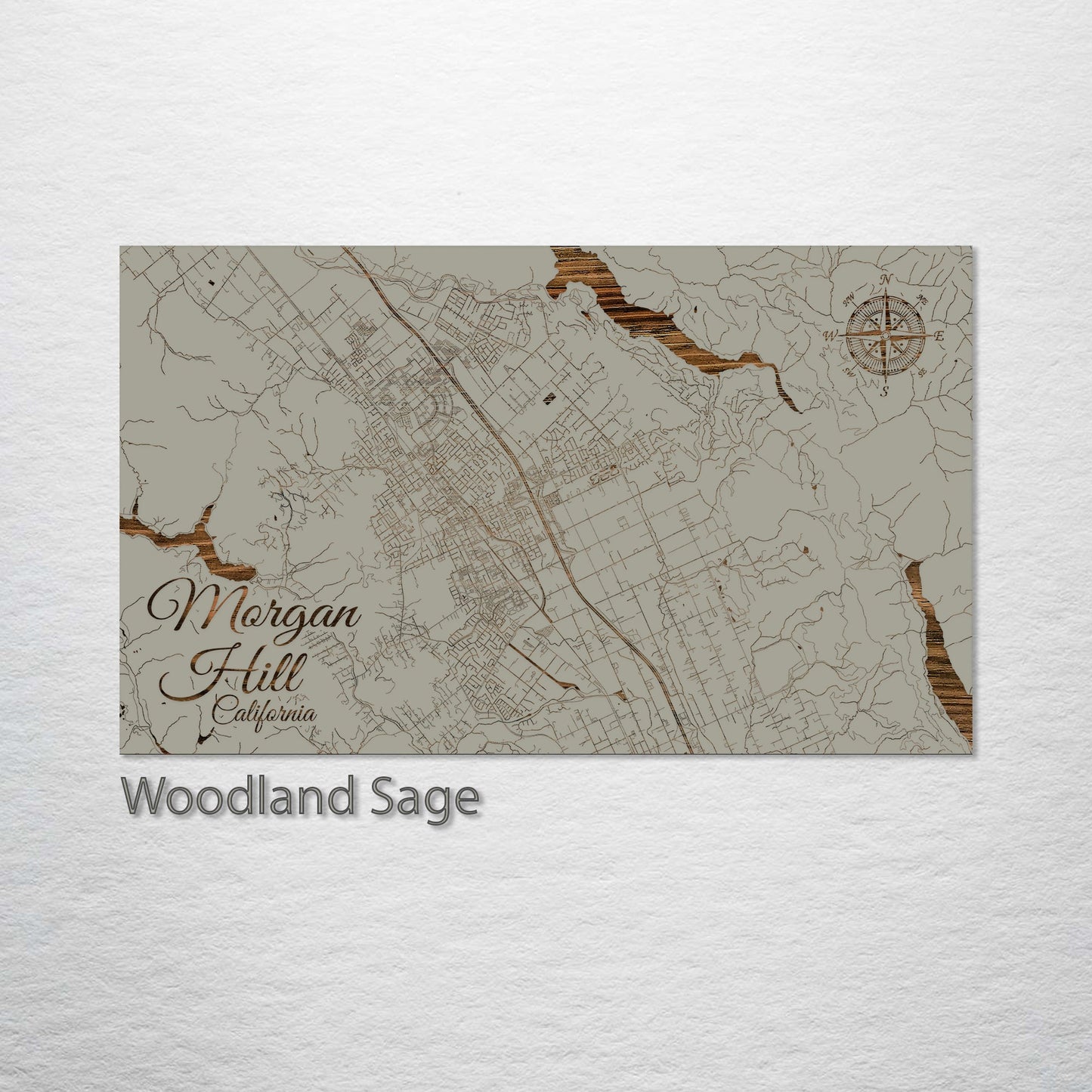 Morgan Hill, California Street Map