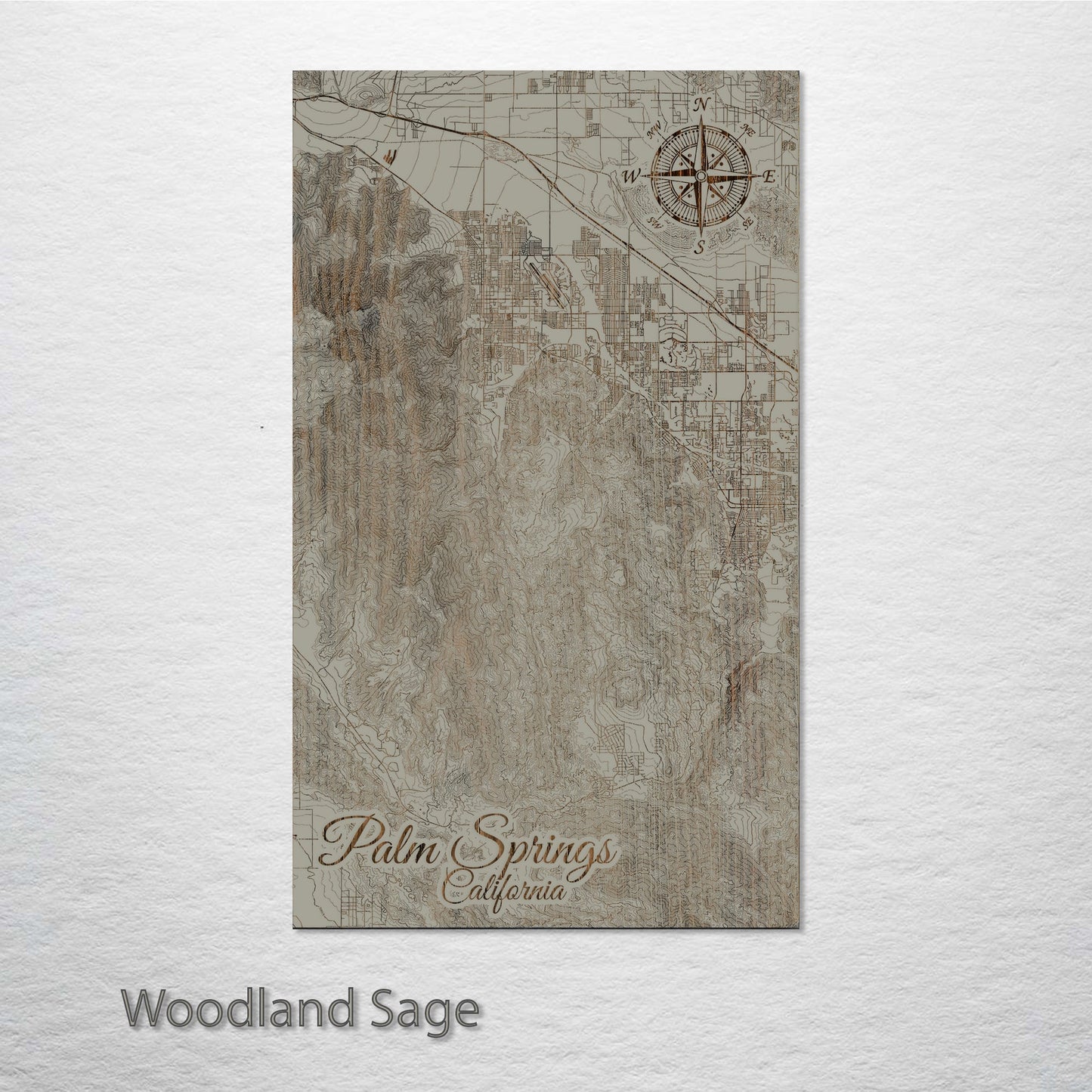 Palm Springs, California Street Map