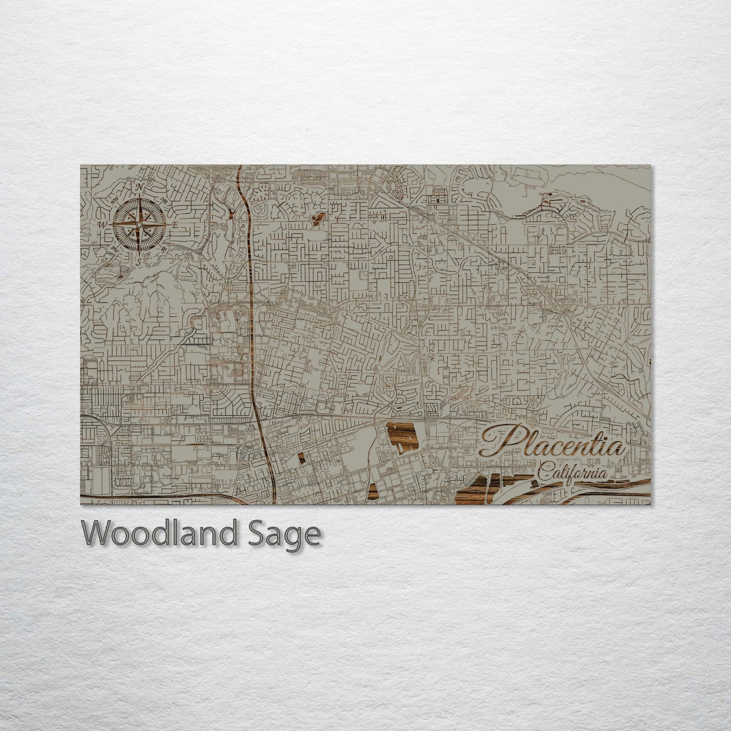 Placentia, California Street Map