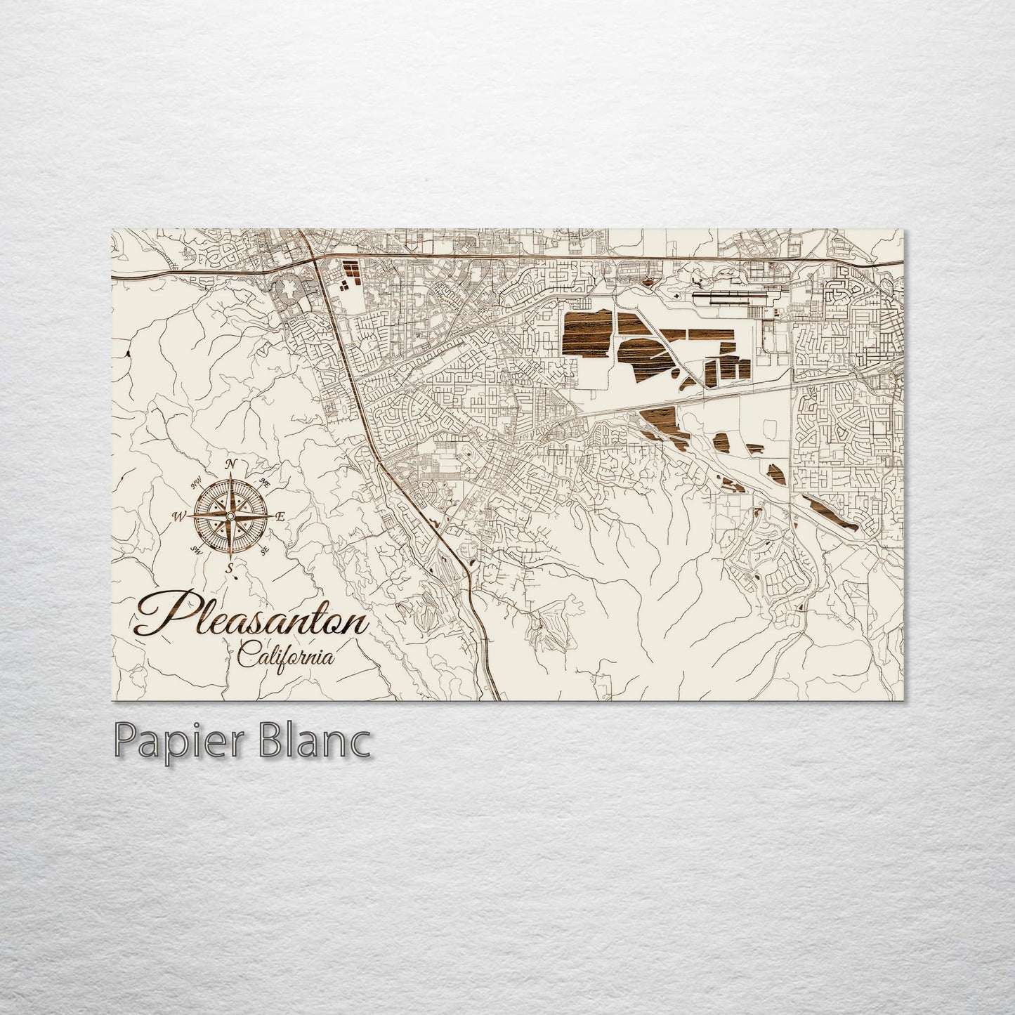 Pleasanton, California Street Map