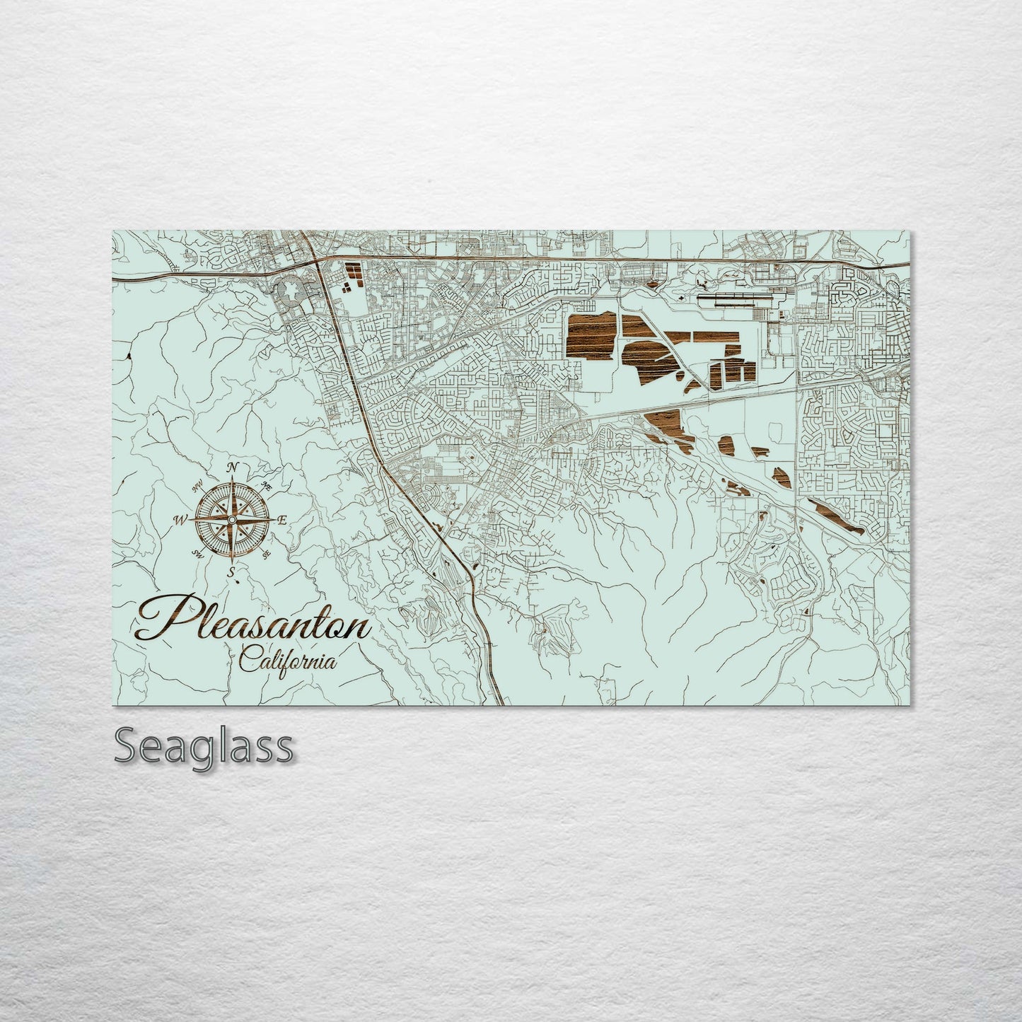 Pleasanton, California Street Map