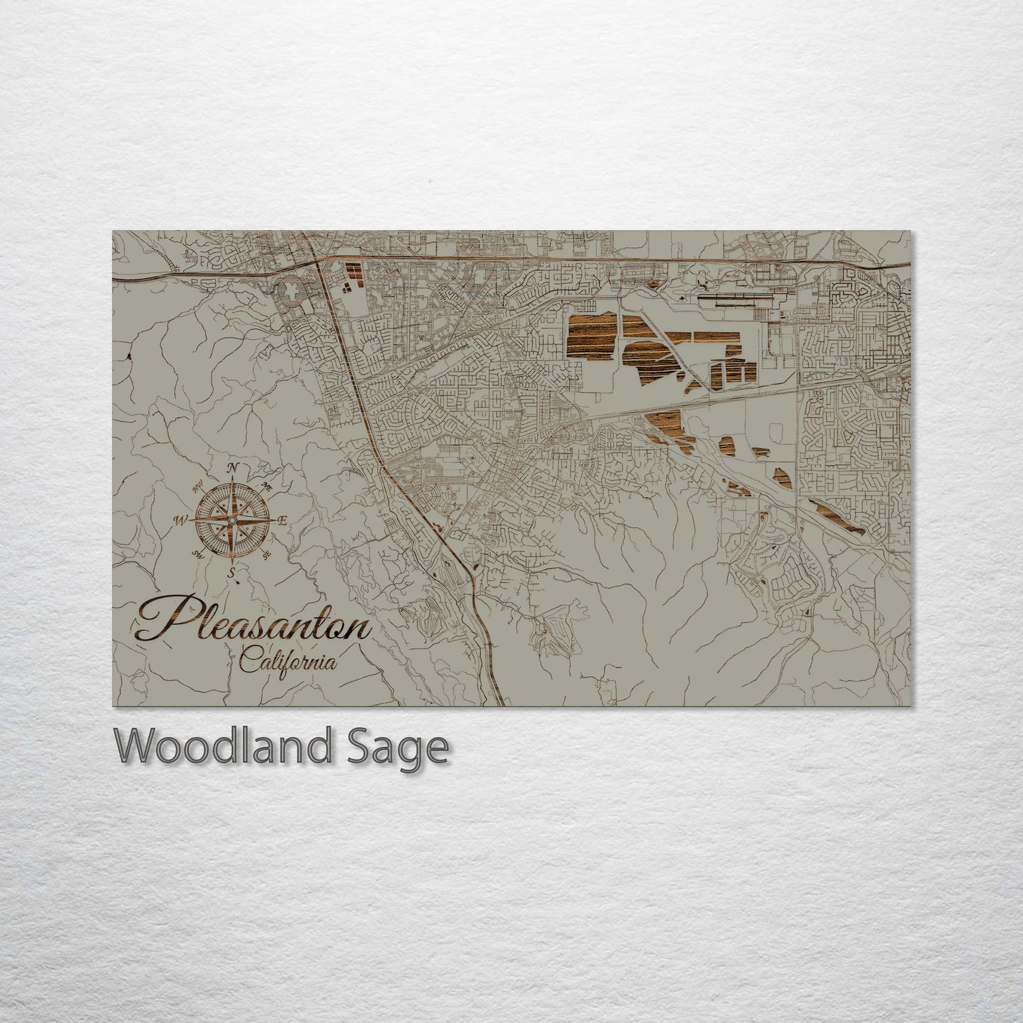 Pleasanton, California Street Map