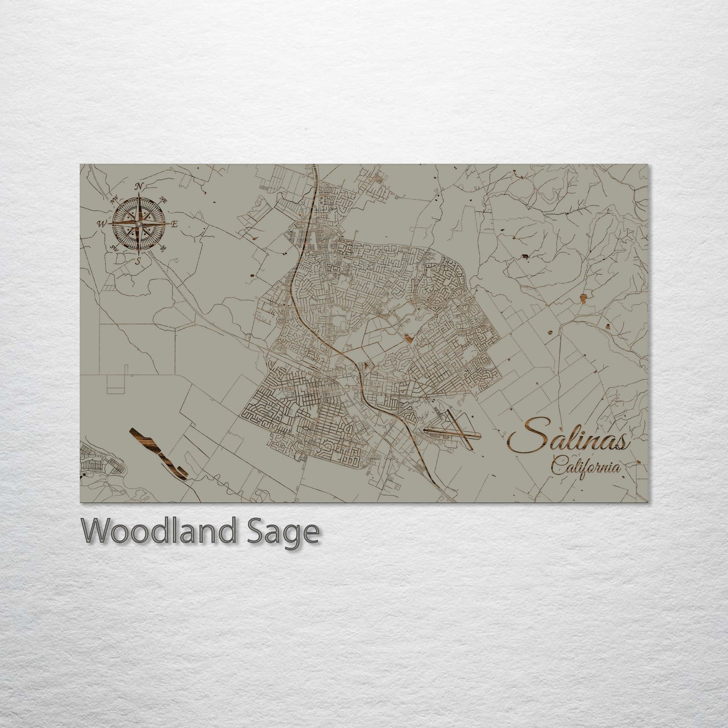 Salinas, California Street Map