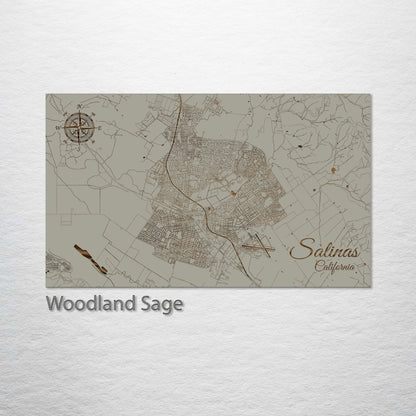 Salinas, California Street Map