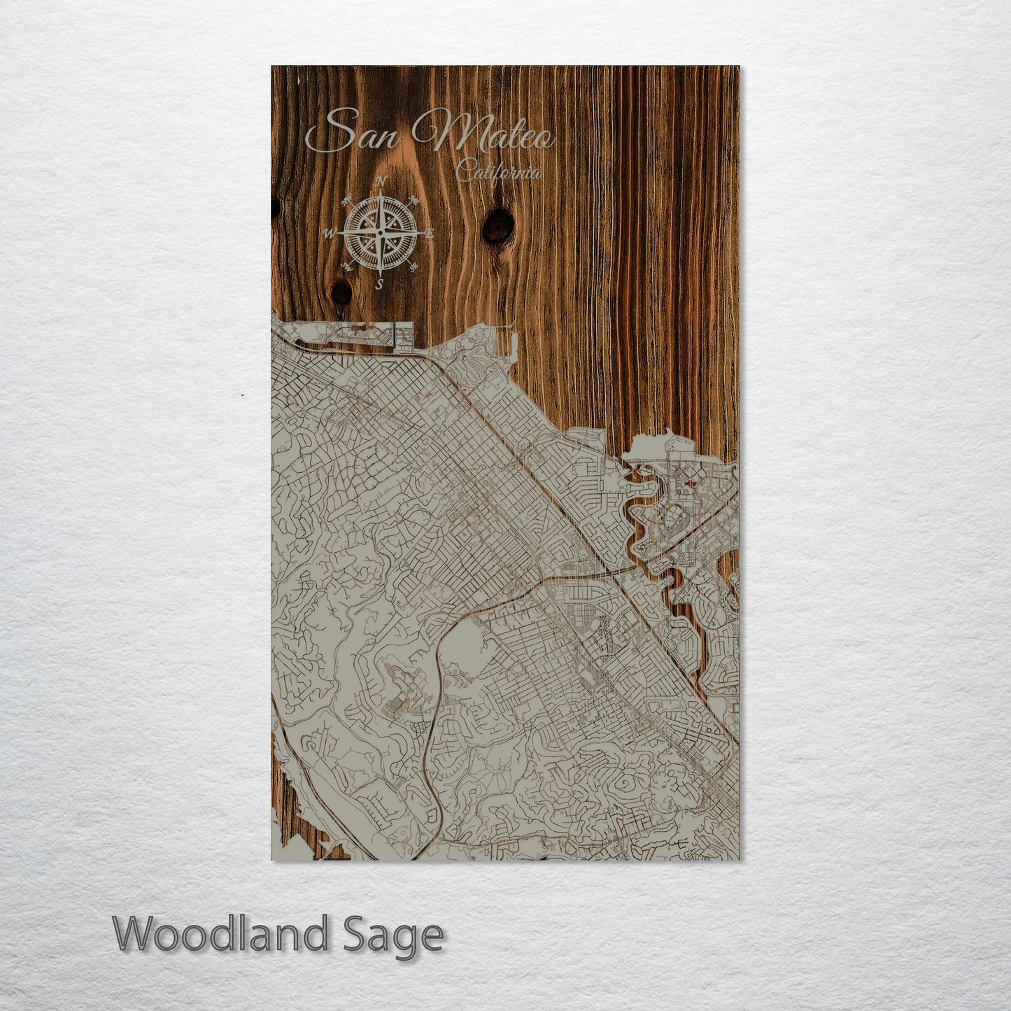 San Mateo, California Street Map