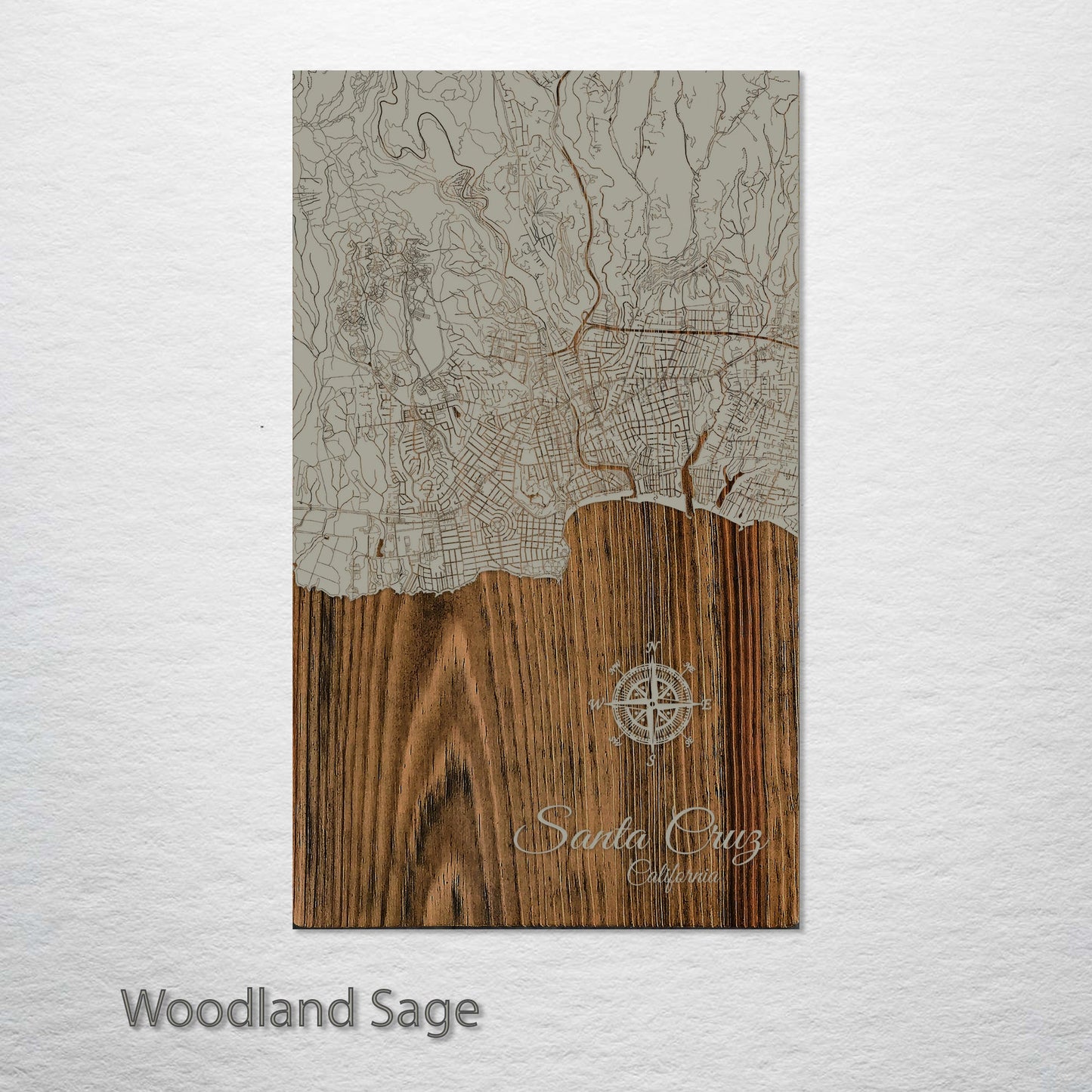 Santa Cruz, California Street Map