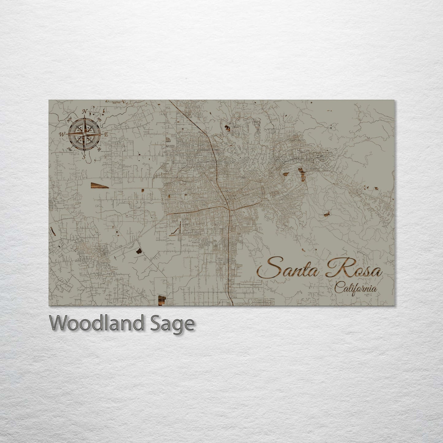 Santa Rosa, California Street Map