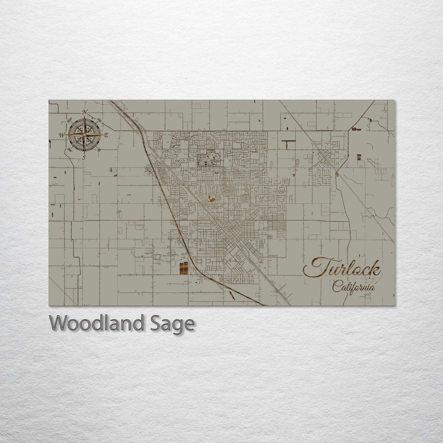 Turlock, California Street Map