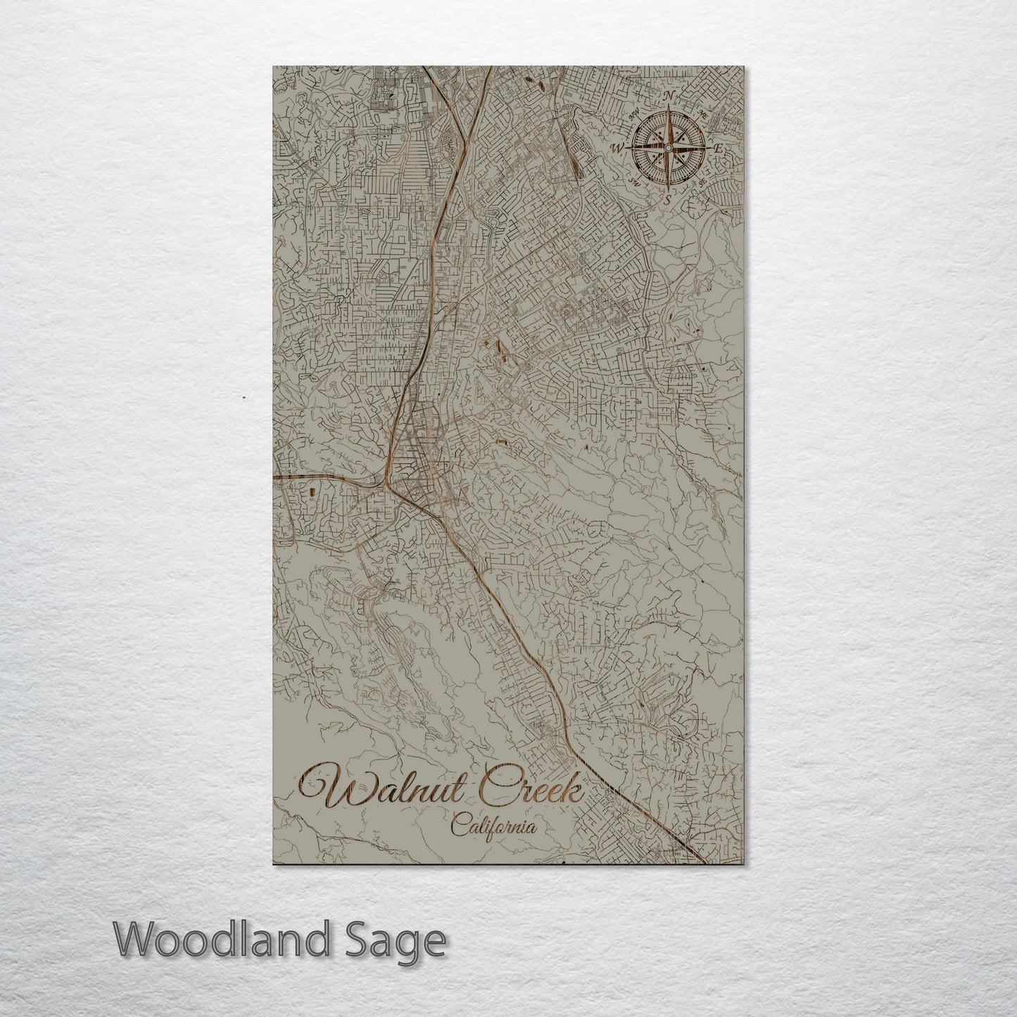 Walnut Creek, California Street Map